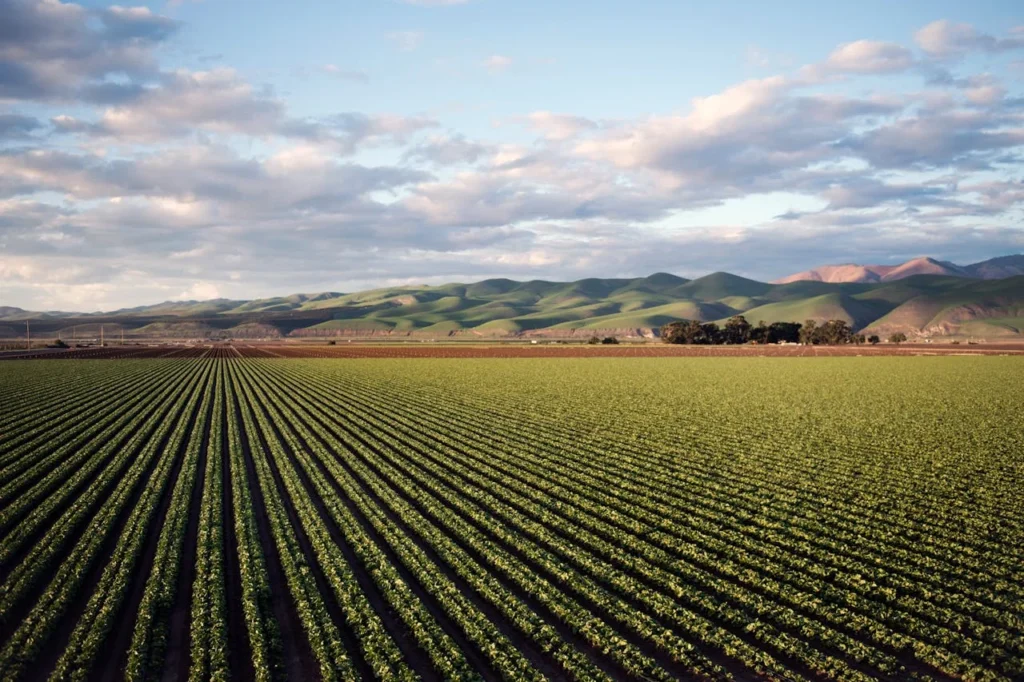 agriculture