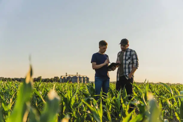 Intérimaire Agricole Roumain pro interim