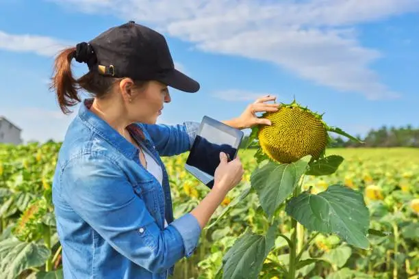 personnels agricoles roumains qualifié