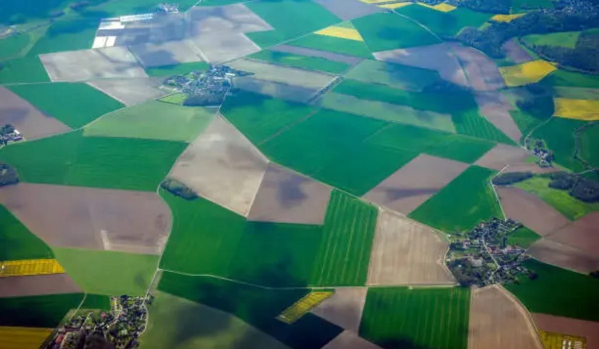 Agriculteurs Roumains