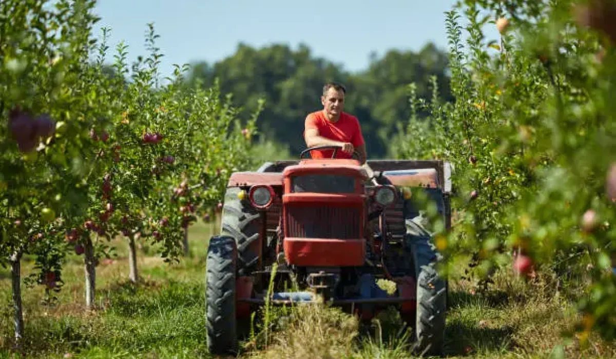 Conducteur Agricole Roumain