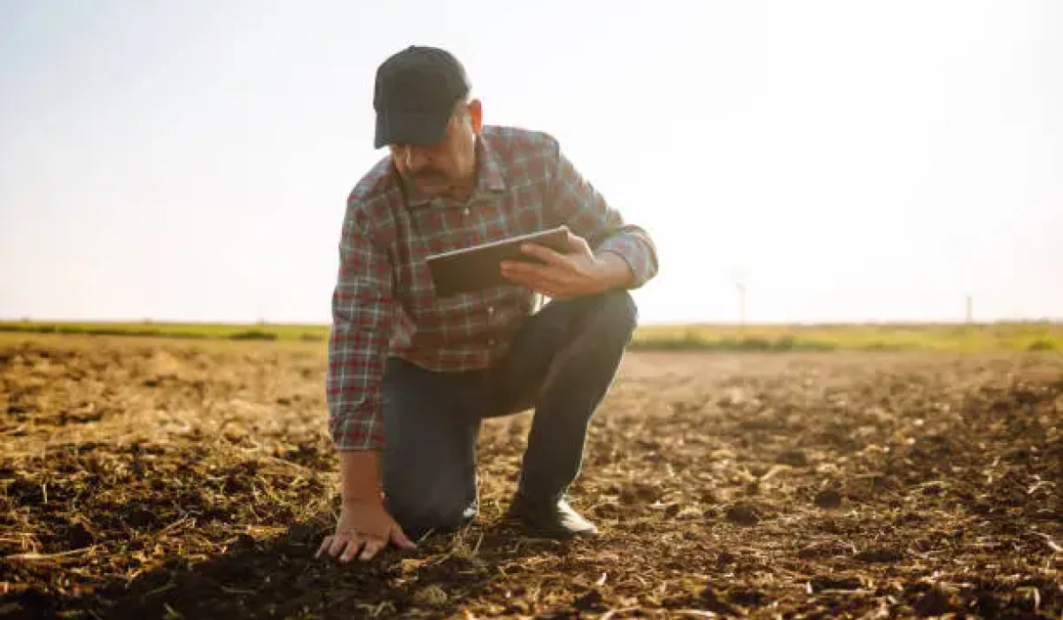 Intérimaire Agricole Roumain
