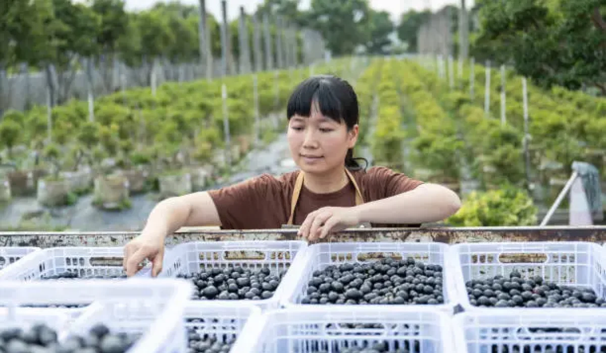 interim heure supplémentaire